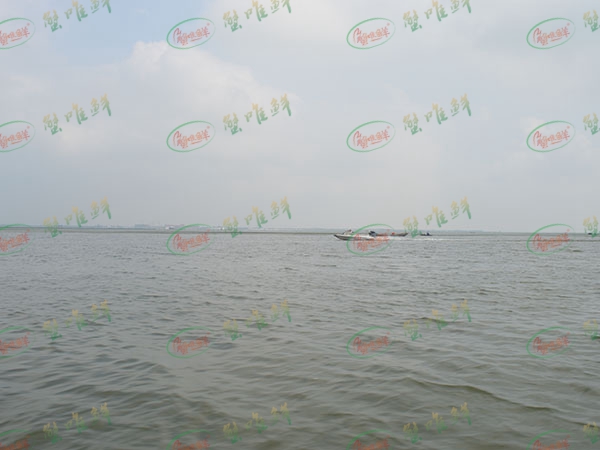 養(yǎng)殖基地