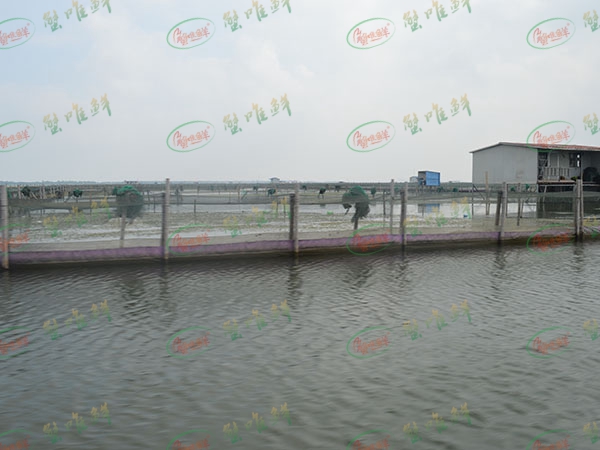 養(yǎng)殖基地