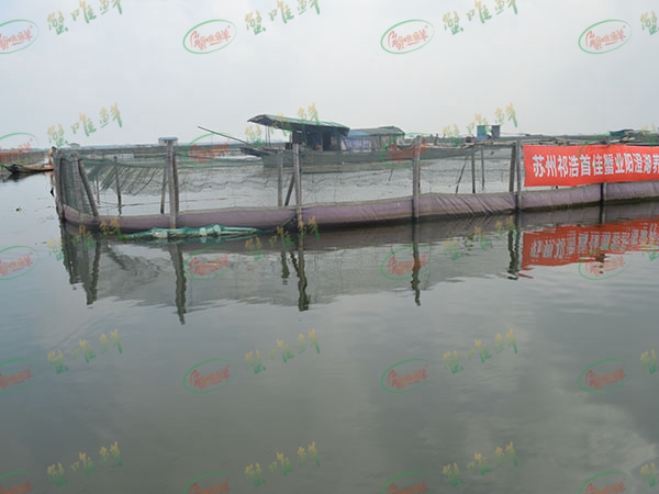 養(yǎng)殖基地