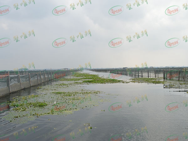 養(yǎng)殖基地
