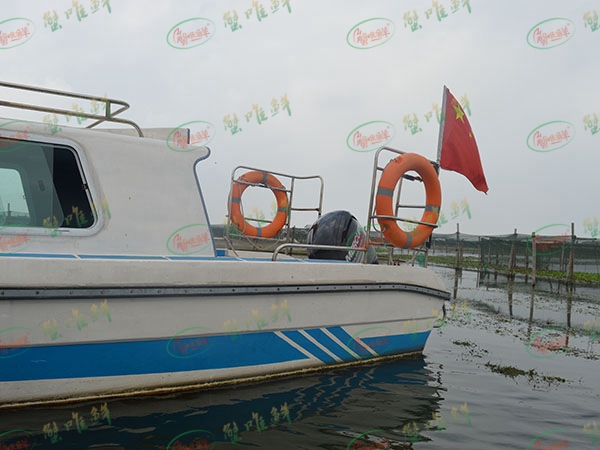 養(yǎng)殖基地