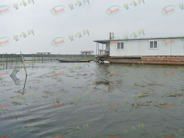 養(yǎng)殖基地